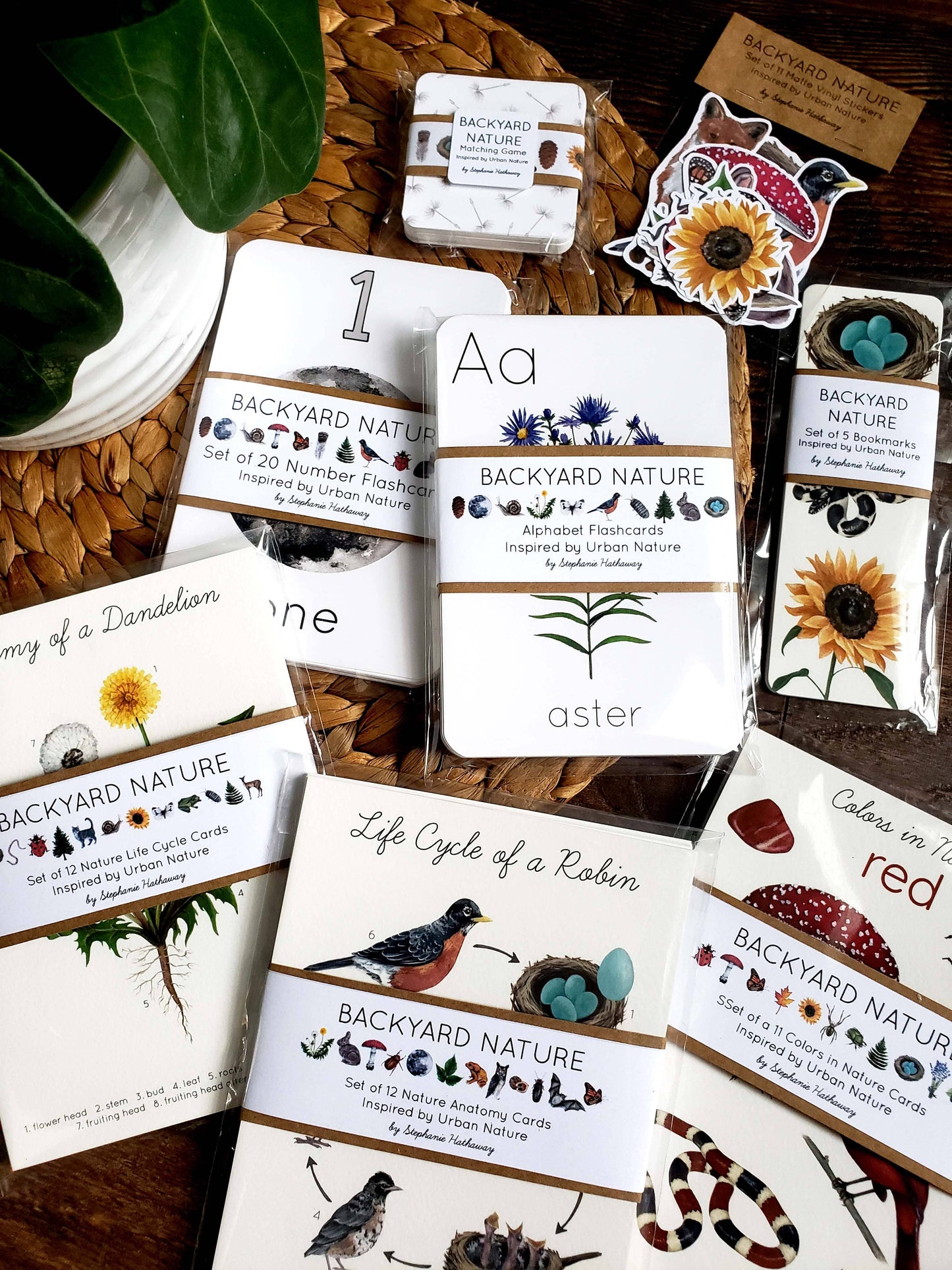 Backyard Nature Counting Cards, Set of 20 Cards