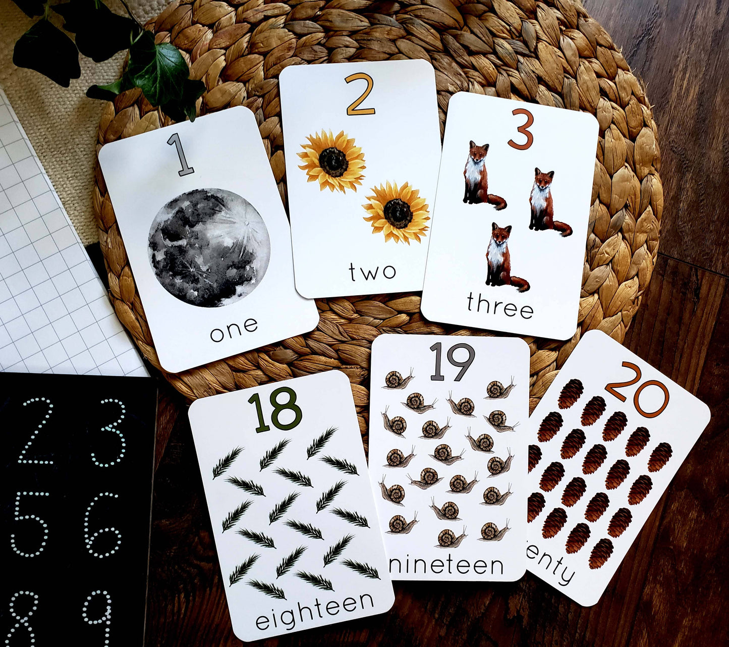 Backyard Nature Counting Cards, Set of 20 Cards