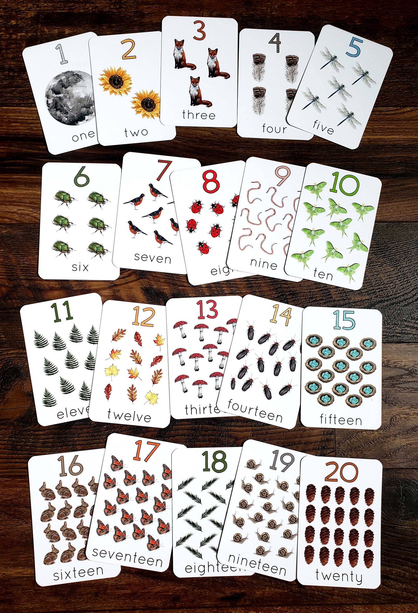 Backyard Nature Counting Cards, Set of 20 Cards