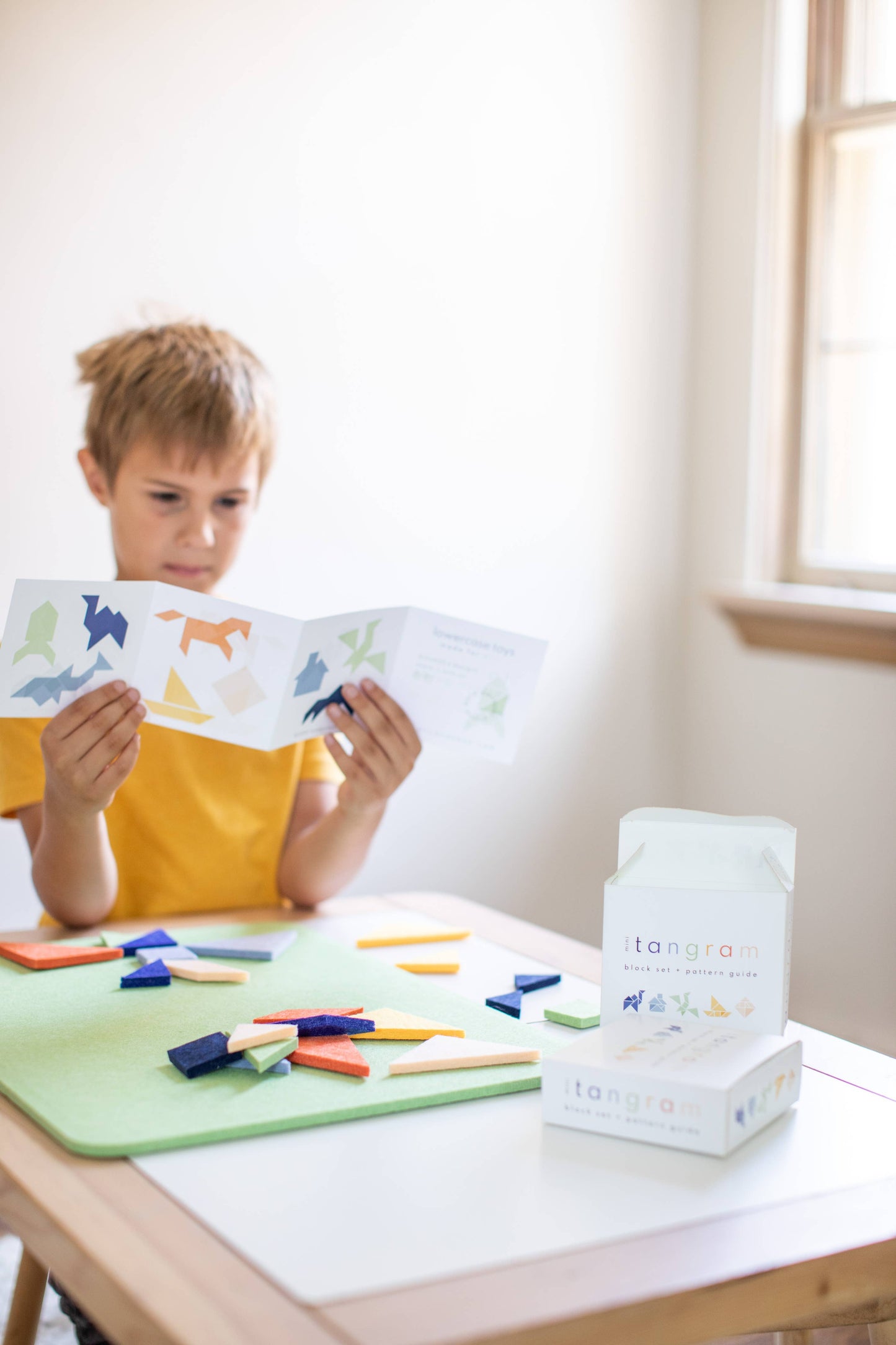 Mini Tangram Block Set