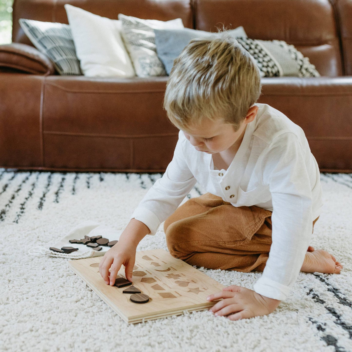 Wooden Shapes Board with Matching Shape Pieces